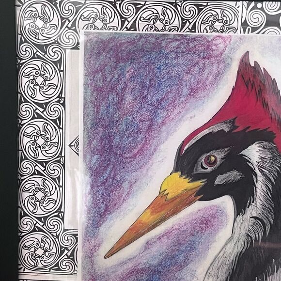 Framed Pileated Woodpecker Art Print Drawing 14x14 - Picture 2 of 5